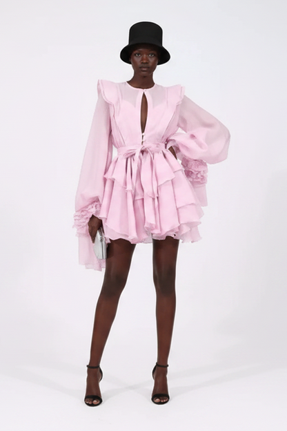 Ruffled Long Sleeve Dress
