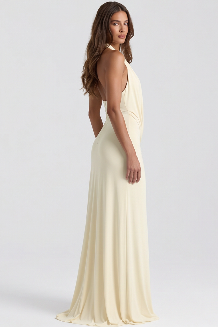 Serena Backless Halter Maxi Dress