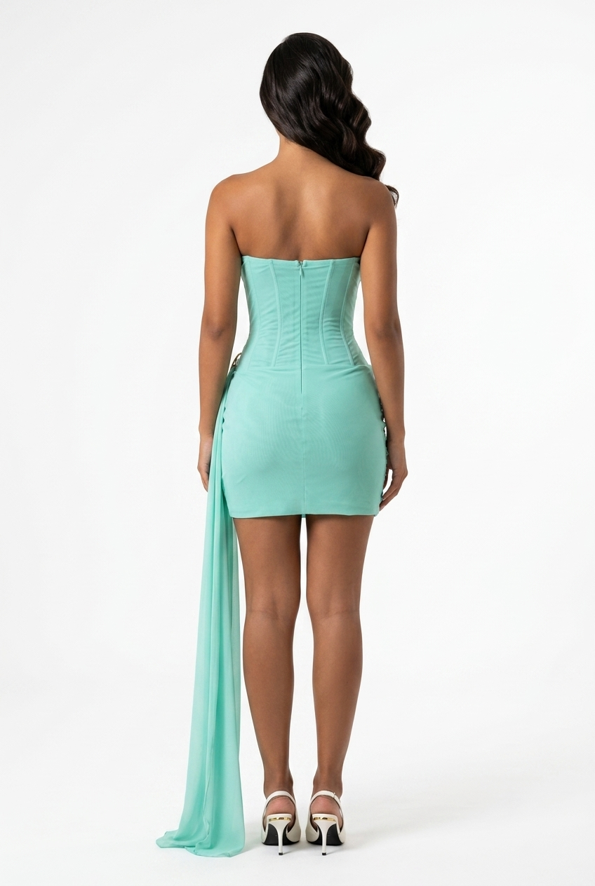 Serena Mini Dress